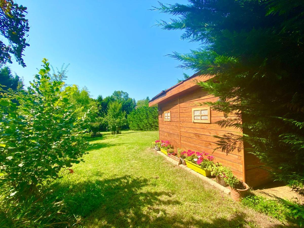 O Clair De Lune Au Coeur De Sarlat - Chambres Climatisees - Parking Prive - Piscine Chauffee - Spa Et Massages Екстериор снимка